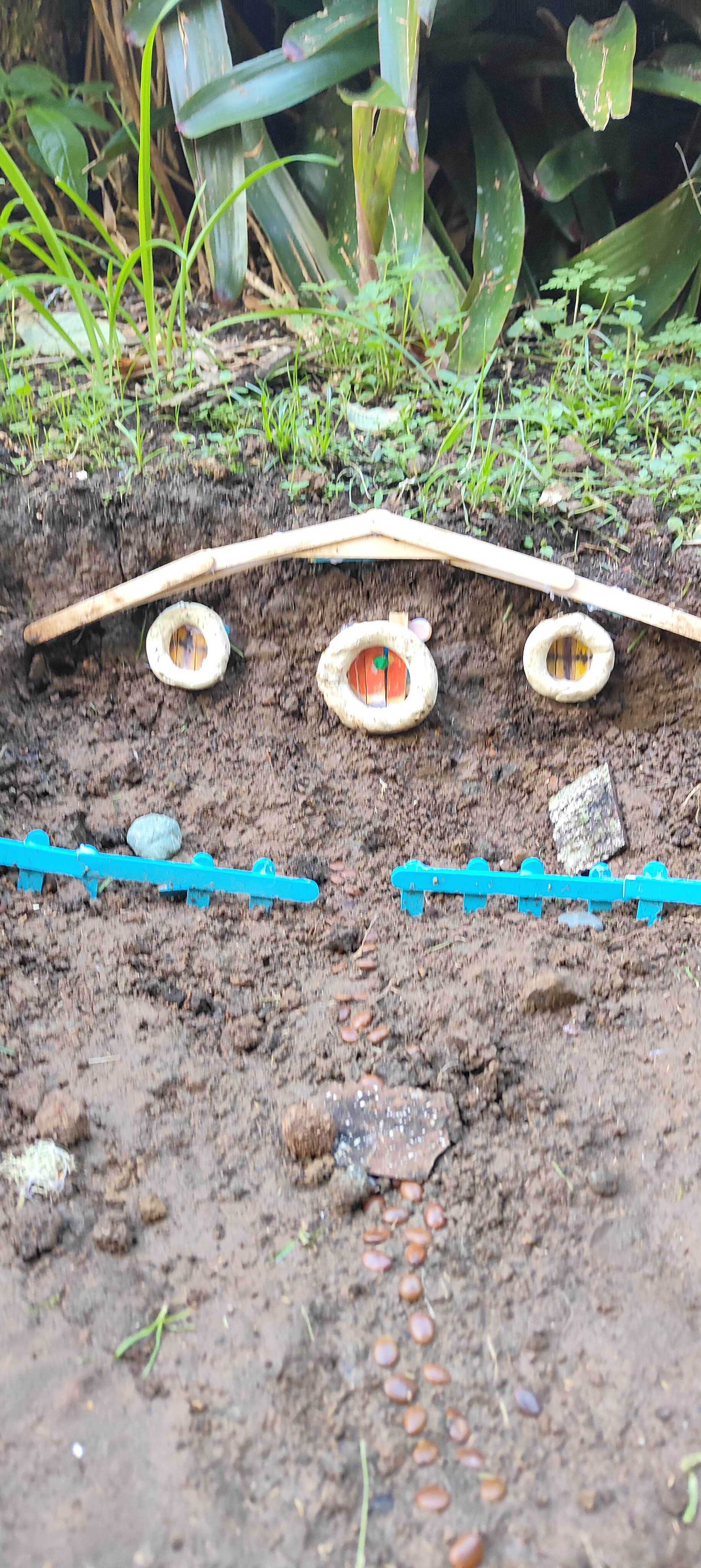 Face made from natural materials in the dirt